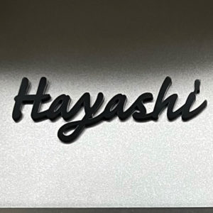 ステンレス切り文字表札キッツ