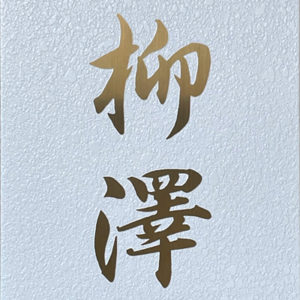 表札 かぶせる ステンレス ゴールド カブセーノ